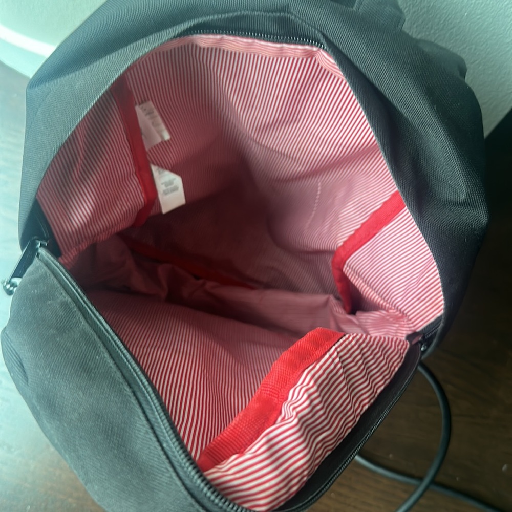 Backpack - Picture 2 of 3